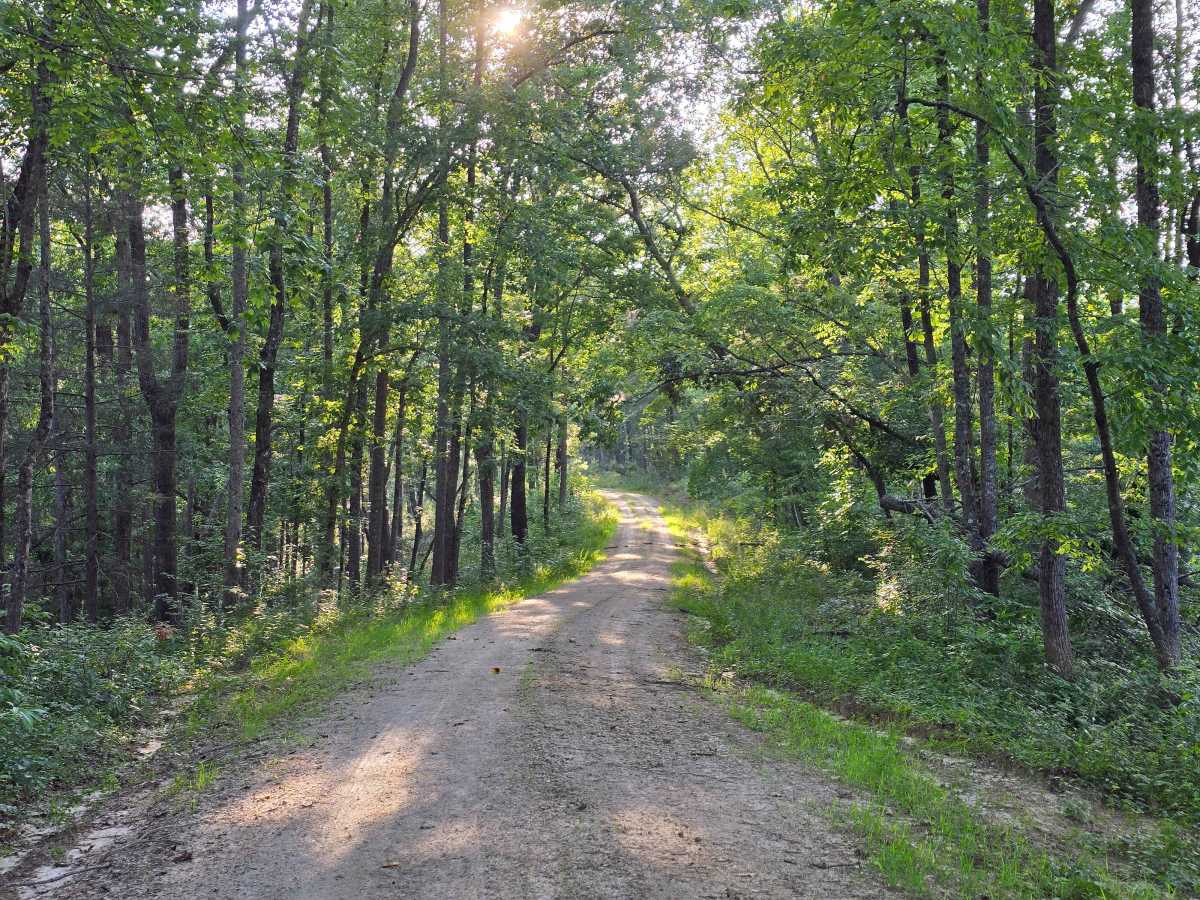 Rhoda Branch - FS 743 trail photo