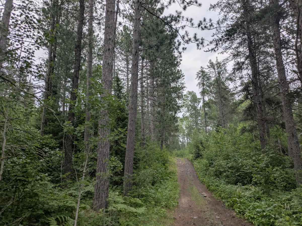 Snake River Spur D  photo 6
