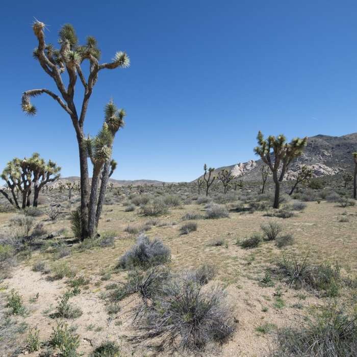 Near Ryan Ranch Trail Hike