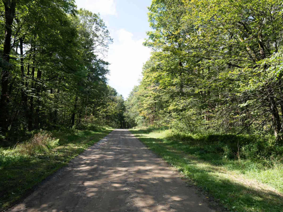 Ridge Run Road trail photo