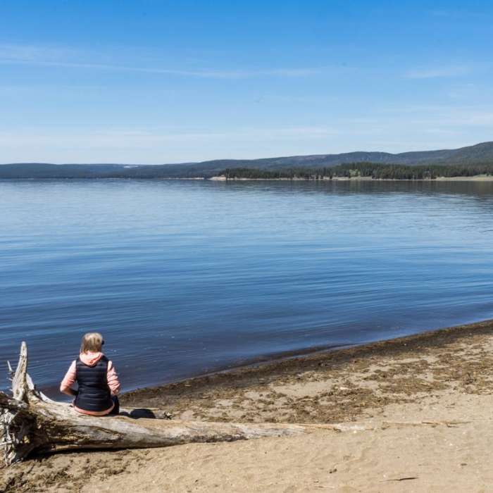 Near Pelican Creek Trail Near Pelican Creek Trail