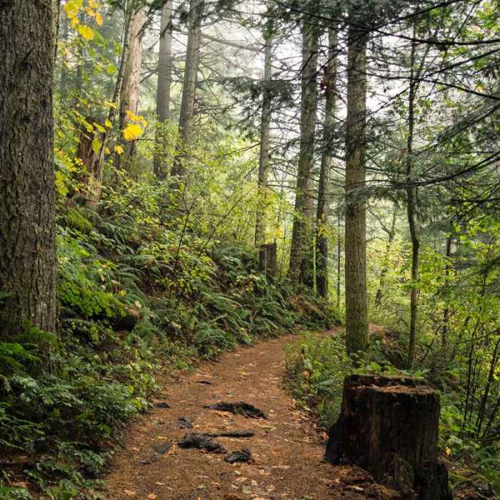 Near Little Hamilton Mountain Hike