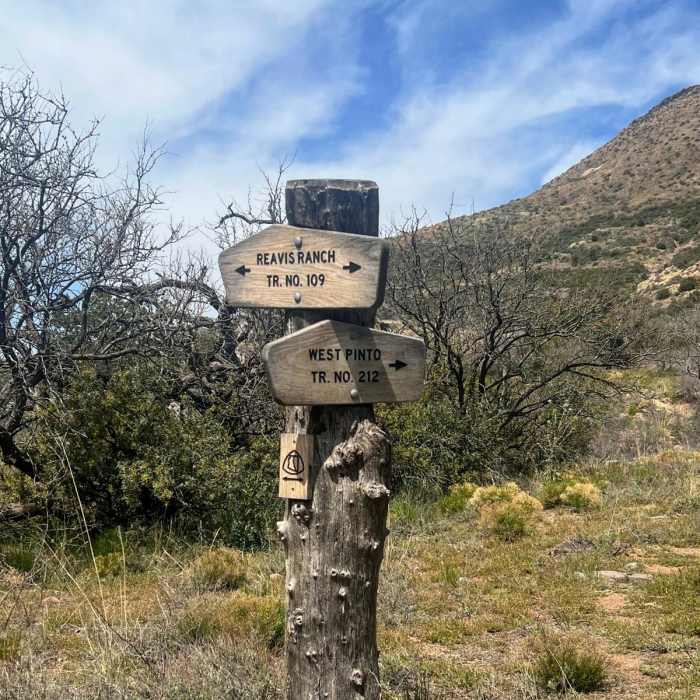 Near West Pinto Trail #212