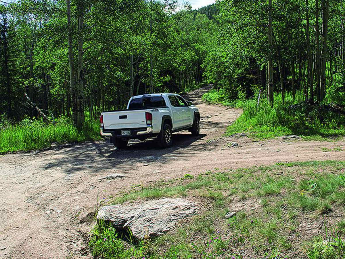 Greer Road photo 2
