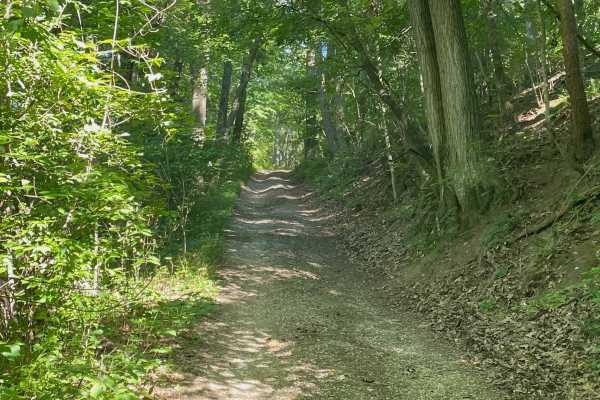 Big Dailey Hill Climb