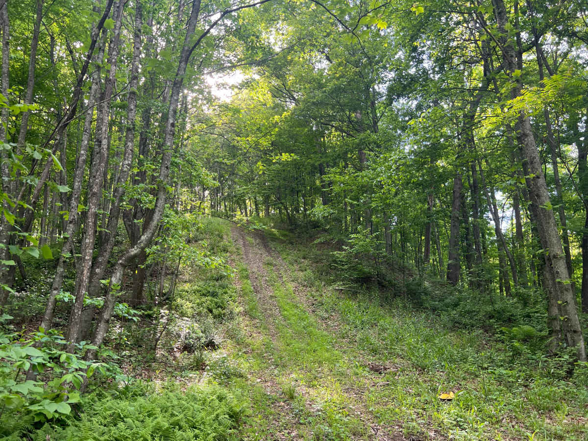 KC10 trail photo