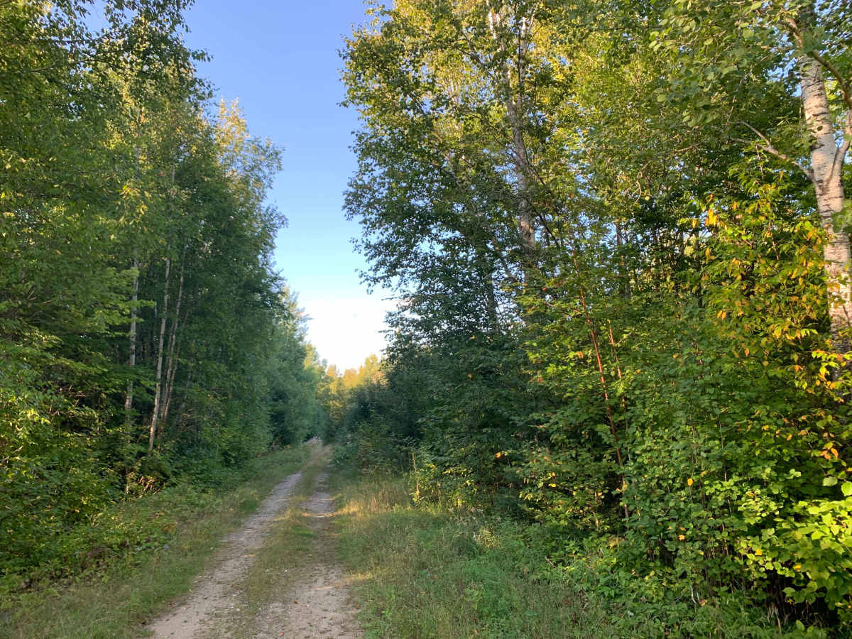 Kjostad Spur B - FS 609B trail photo