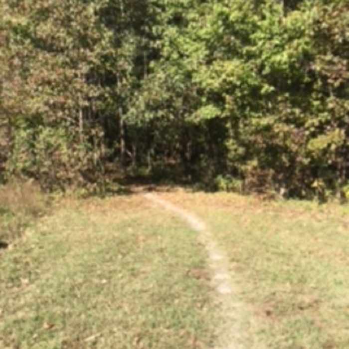 Poor Creek Trail leading into the woods past Taylor Farm/Site of Fort Morton. Near Petersburg Battlefield Trail