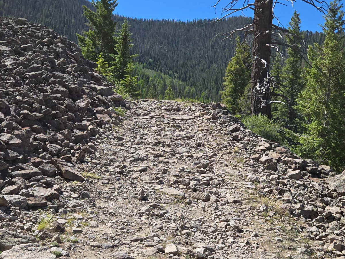 Black Mountain Road photo 6