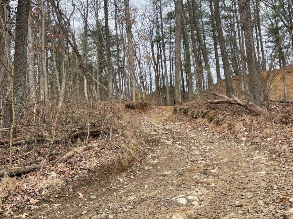 Redbird Trail 3 photo 6