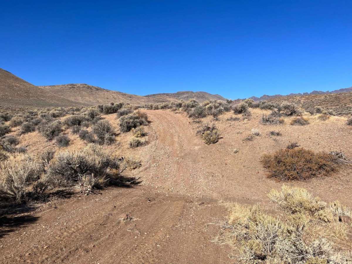The Oregon Desert Trail photo 5