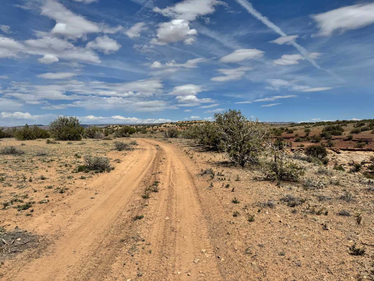 County Road 3417 photo 5