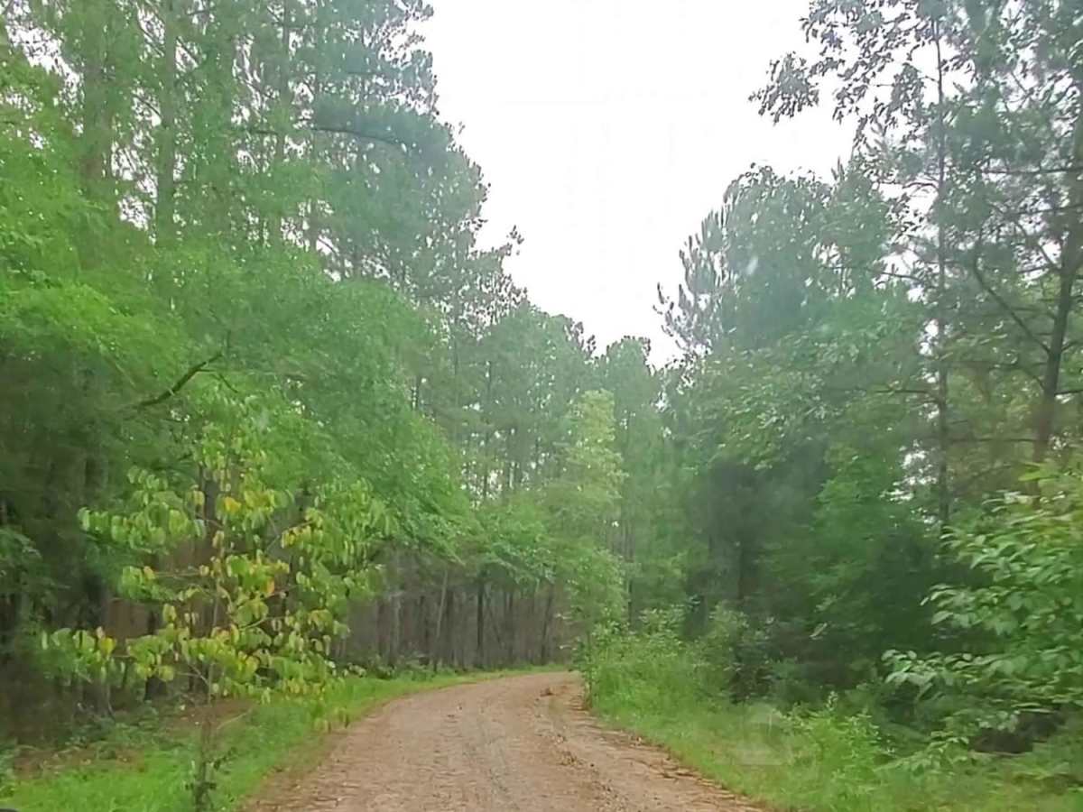 Price Road (615) photo 5