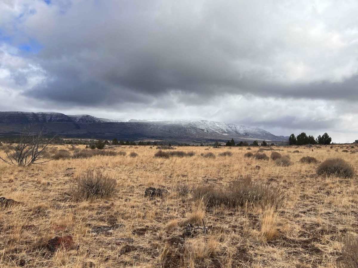 Three Springs Offshoot trail photo