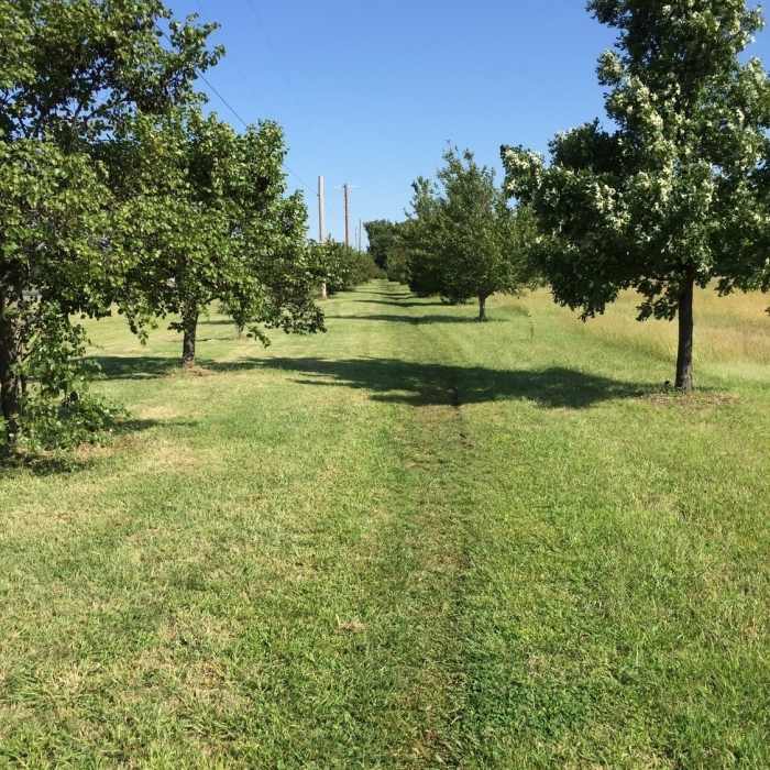 Near Sand Creek Trail