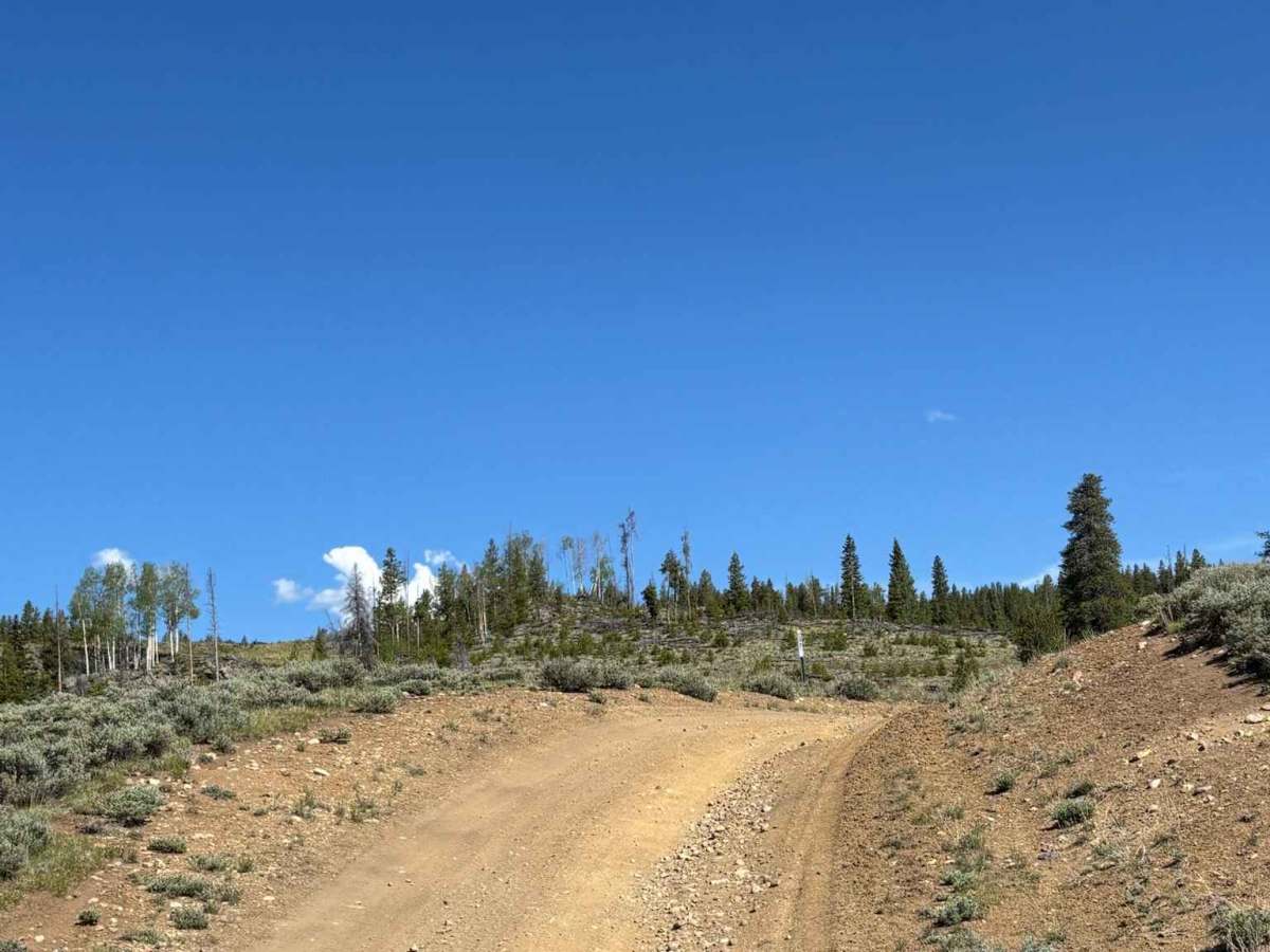 Cake Ridge Spur Road photo 4