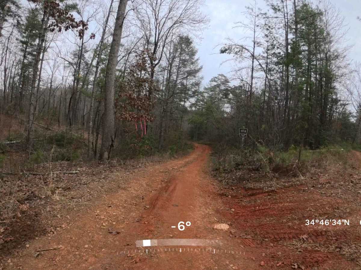 FS 511B trail photo