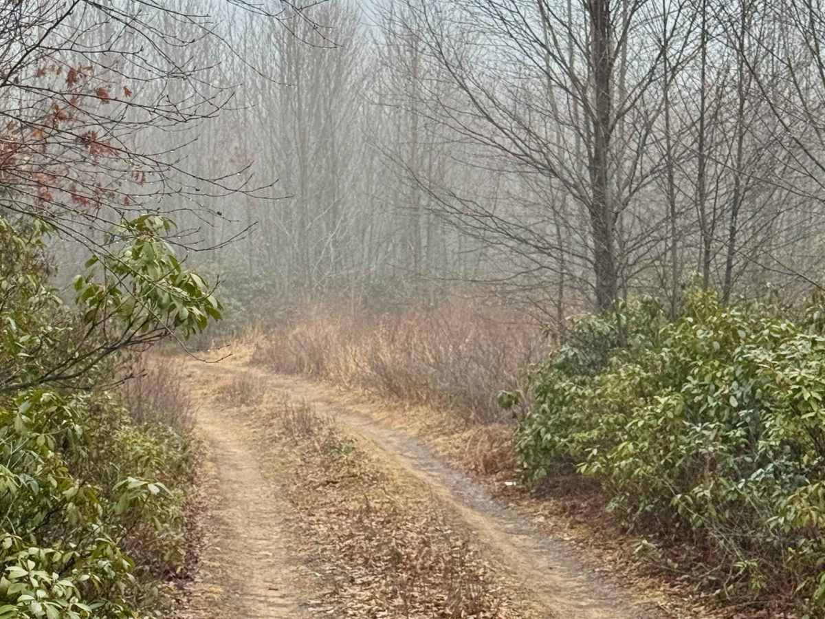 Eagleton Run Blue Trail photo 4