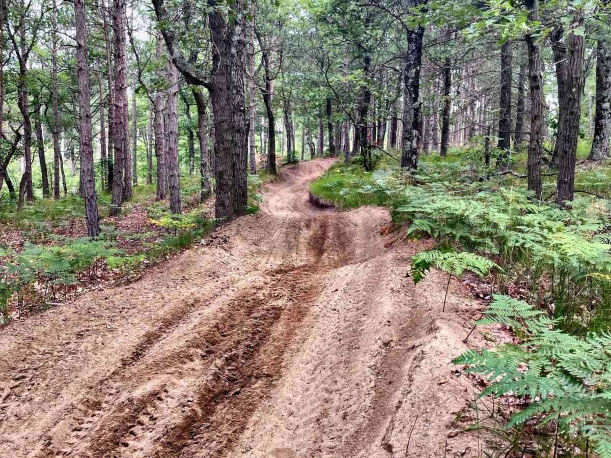 Cedar Creek Motorsport Trail (South Loop) trail photo