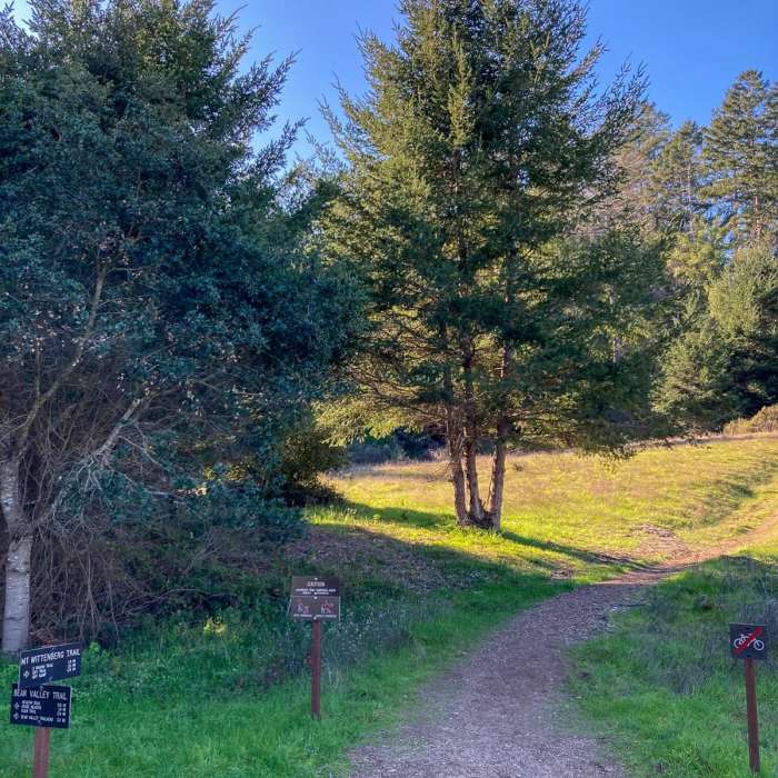 Near Mount Wittenberg via Horse Trail