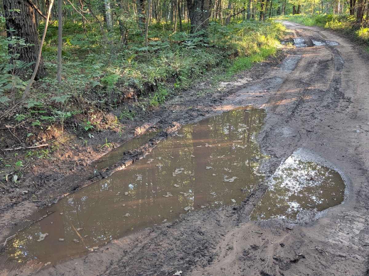 Stelmach Trail trail photo