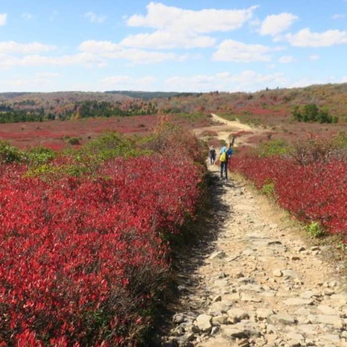 Towards beginning Bear Rock Trail October 8, 2017 Near Blackbird/Ridge Loop