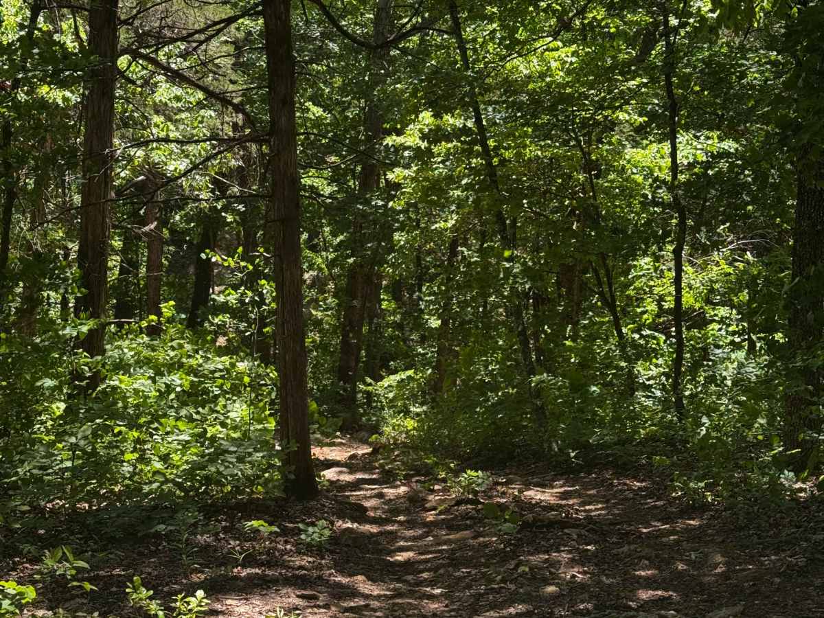Creek Climb trail photo