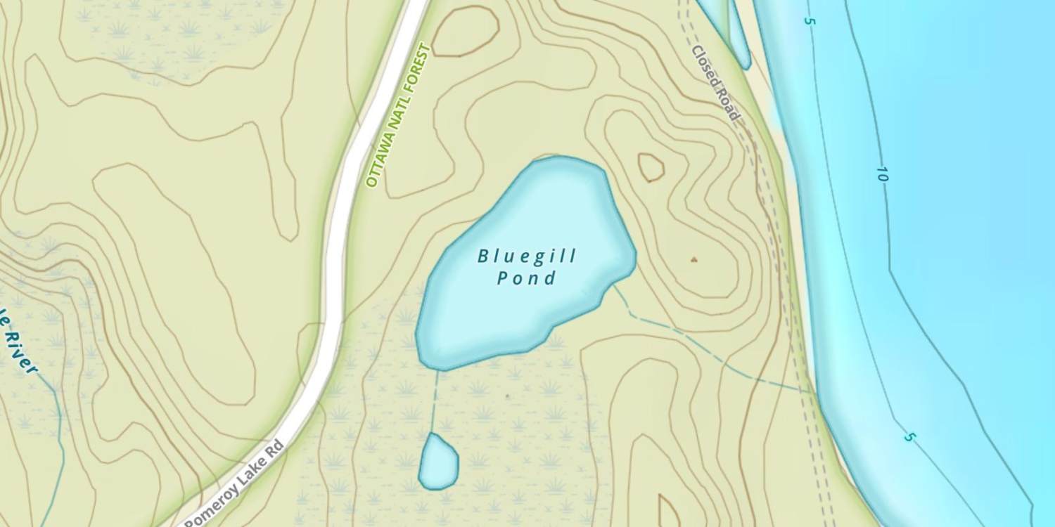 Bluegill Pond