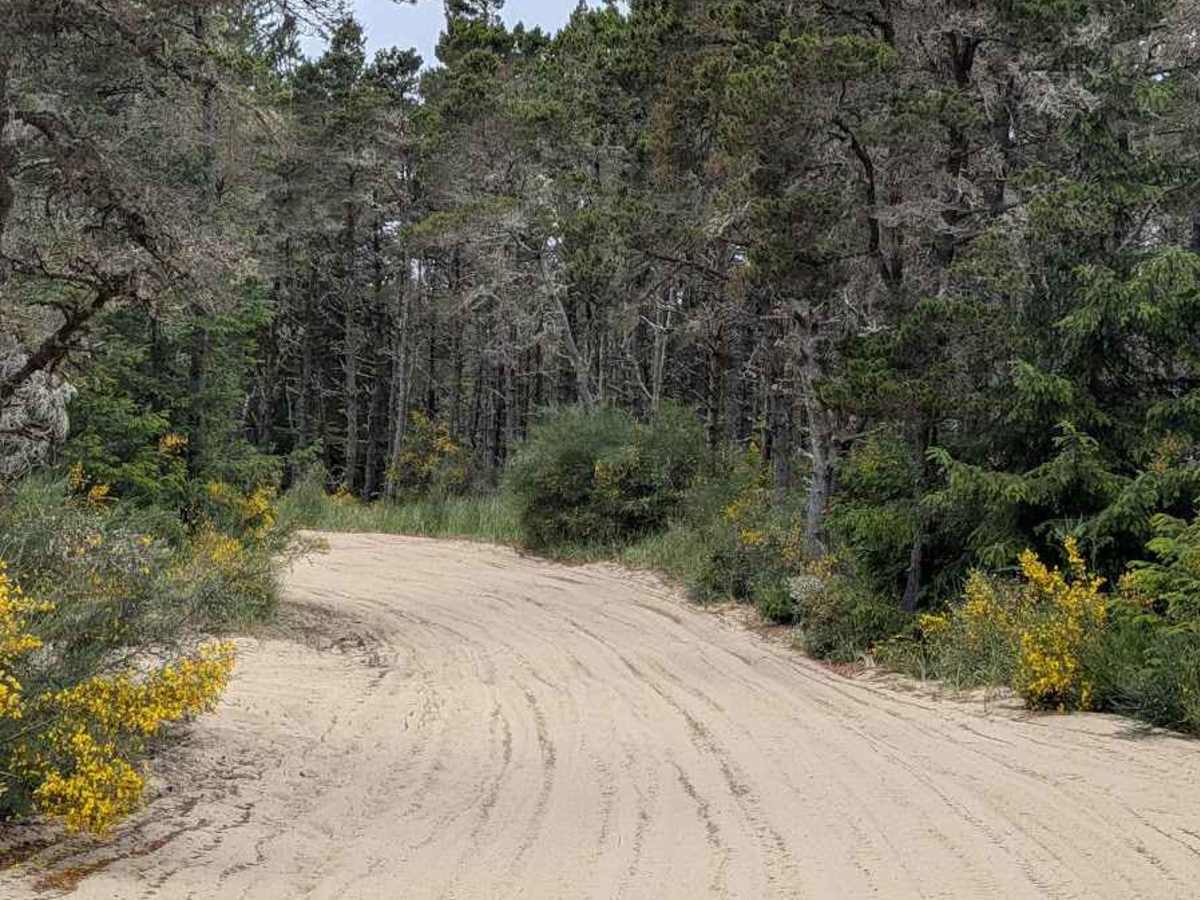 South Jetty Trail A - FS 1344A photo 6