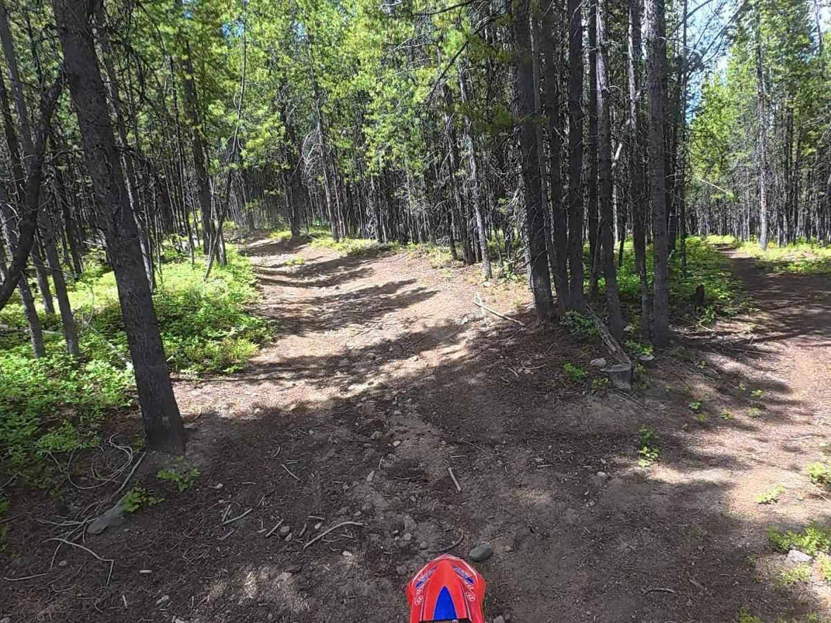 Sleeping Child Divide, USFS 104 trail photo