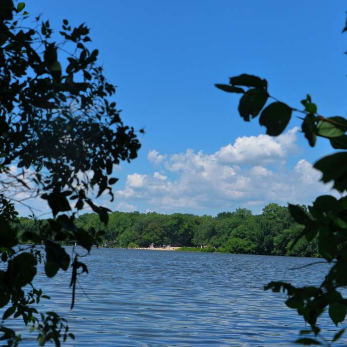 Photo of the lake from the trail Near Parvin Lake Trail