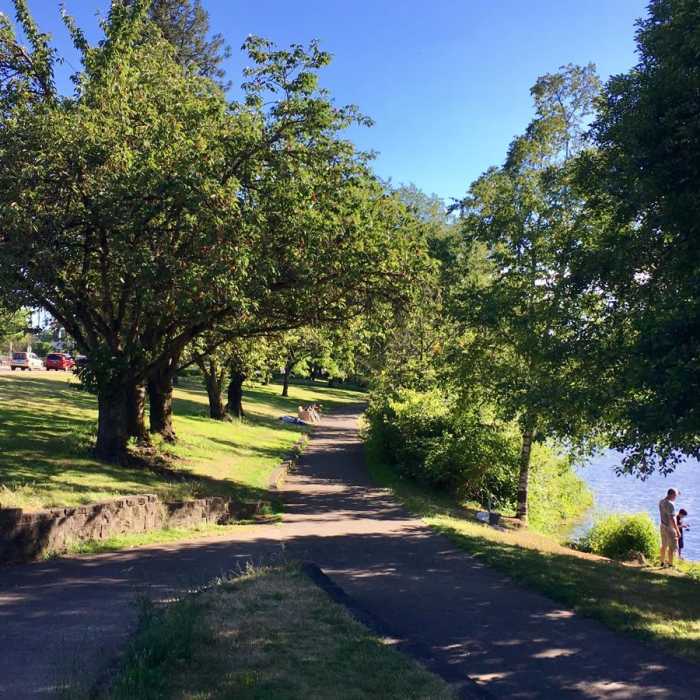 Near Waverly Lake Loop