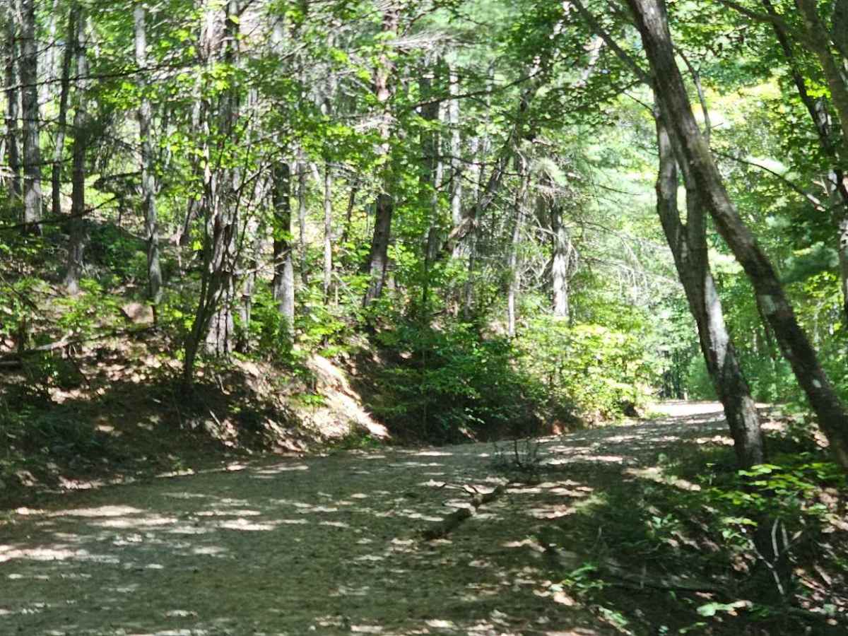 Fish Knob - FS 4C trail photo