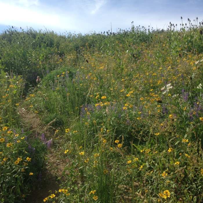 Near Wellsville Ridge