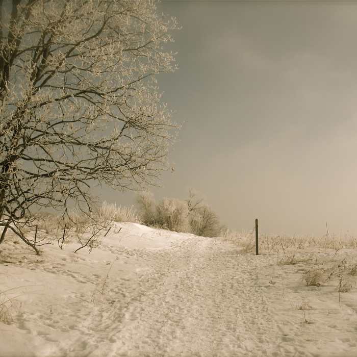 A winter scene along this segment of Ice Age Trail. Near Ice Age Trail: Verona Segment