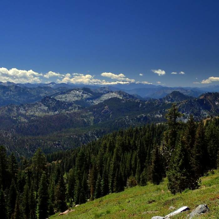 Near Second Valley Trail #5529