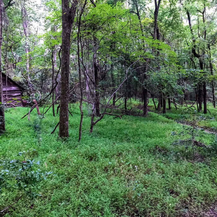 Near Farmhouse