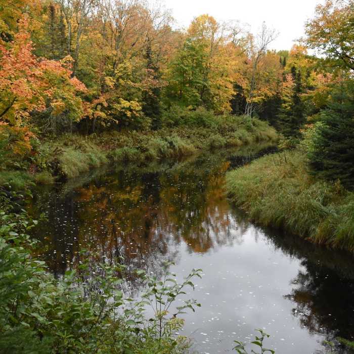 Near River View Trail Near River View Trail