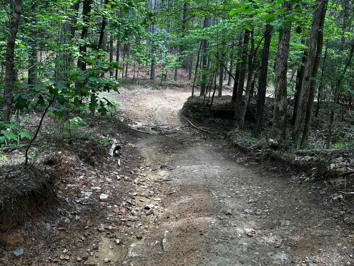 Trail 36 photo 6