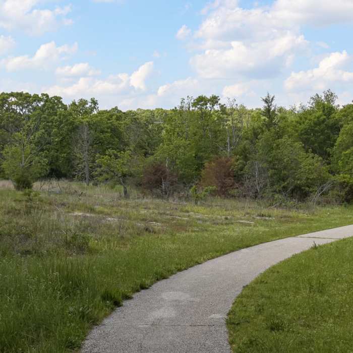 Near Low Bridge Trail