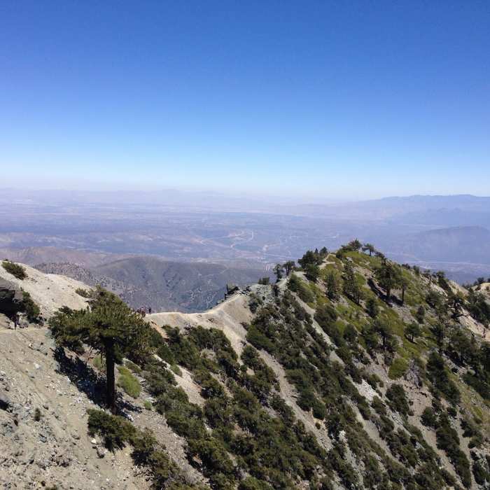 Near Devil's Backbone Trail #7W05