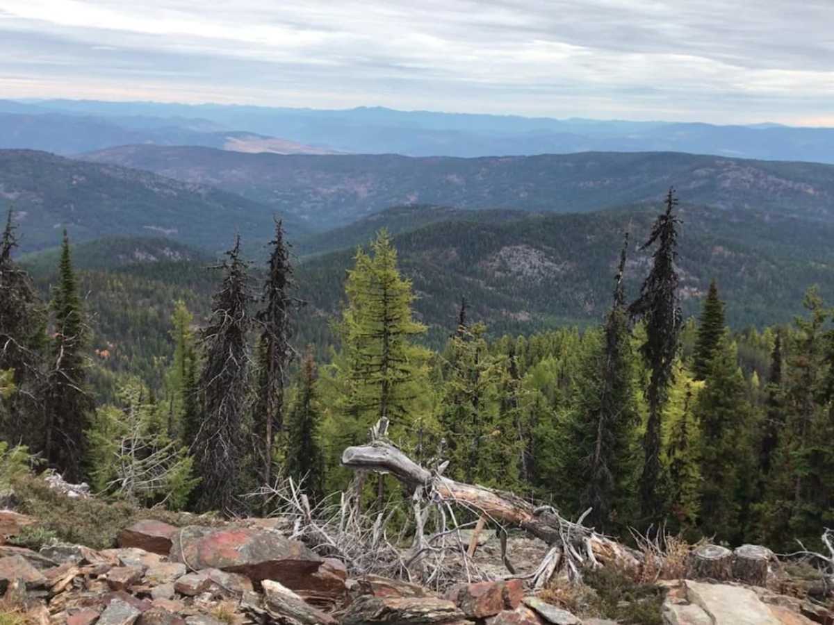 Twin Sisters Trail photo 3