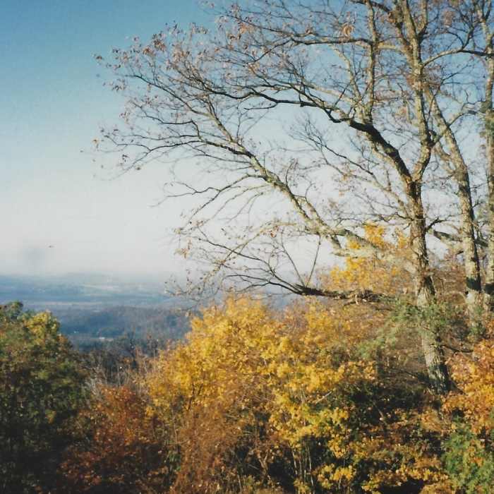 Looking west from Glassy mountain top. Near Glassy Mountain