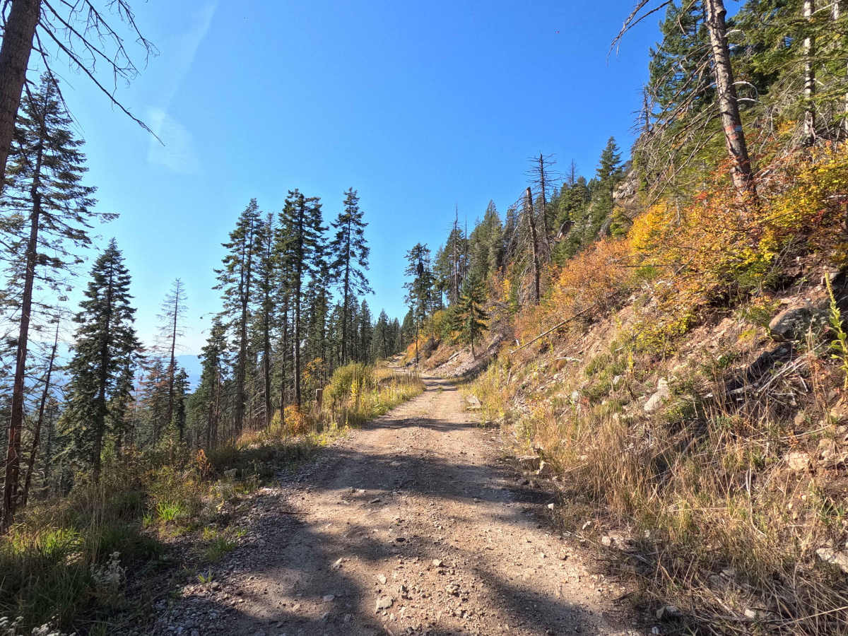 Old Dominion Mountain - FS 9411130 photo 6