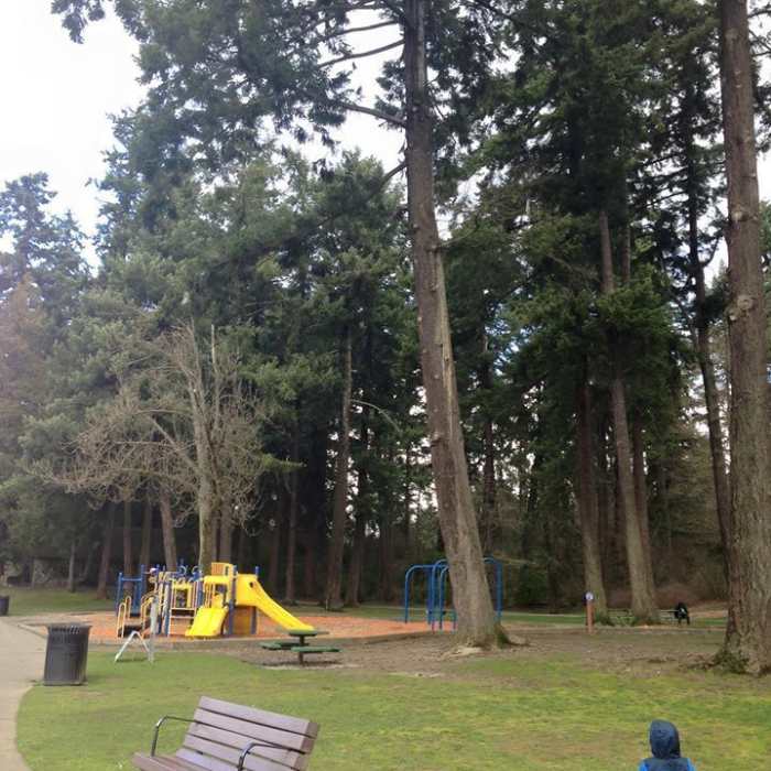 A lakeside playground awaits small children under huge trees. Near Wapato Lake Accessible Loop Path