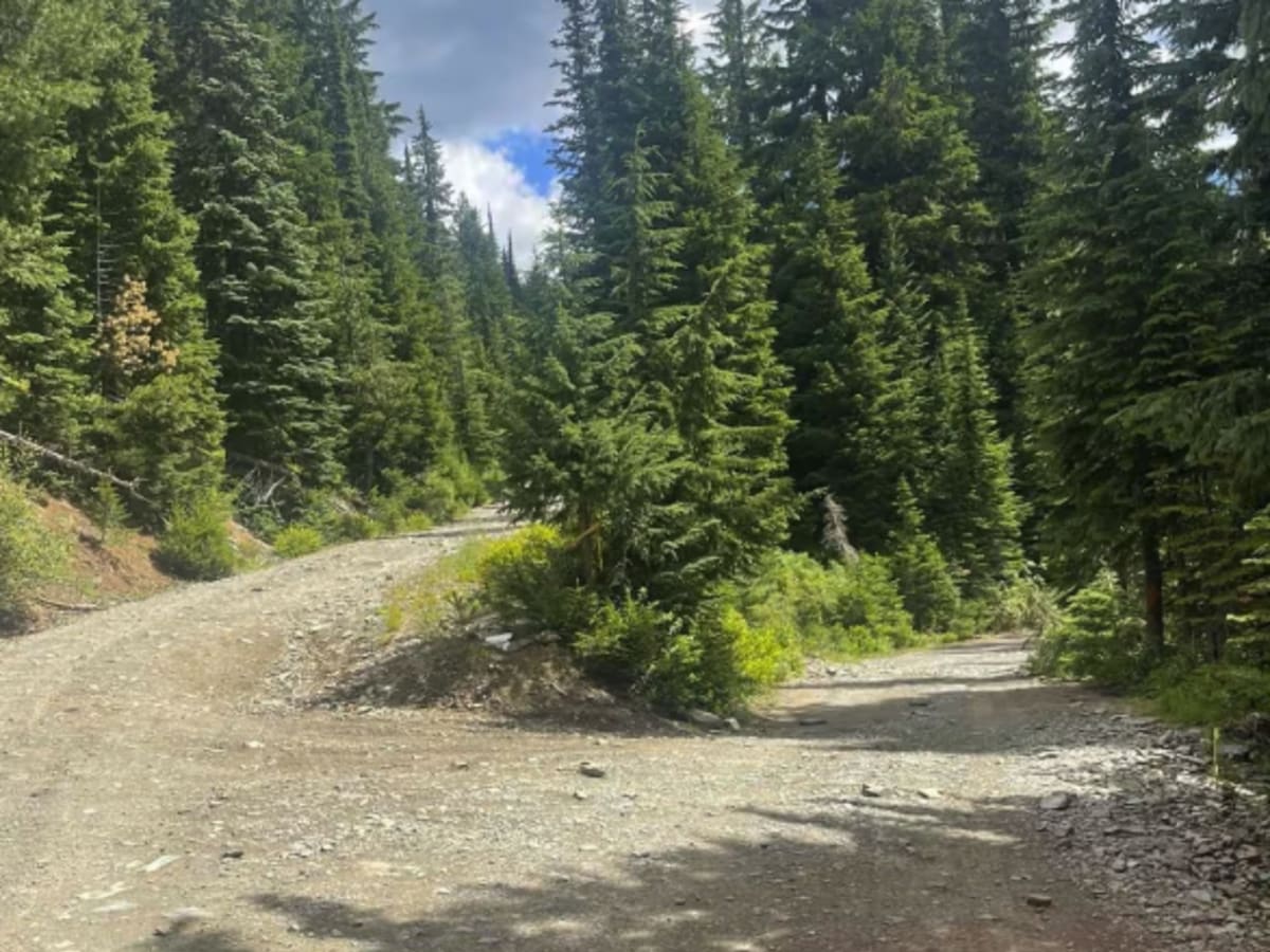 Lower Glidden Lake photo 5