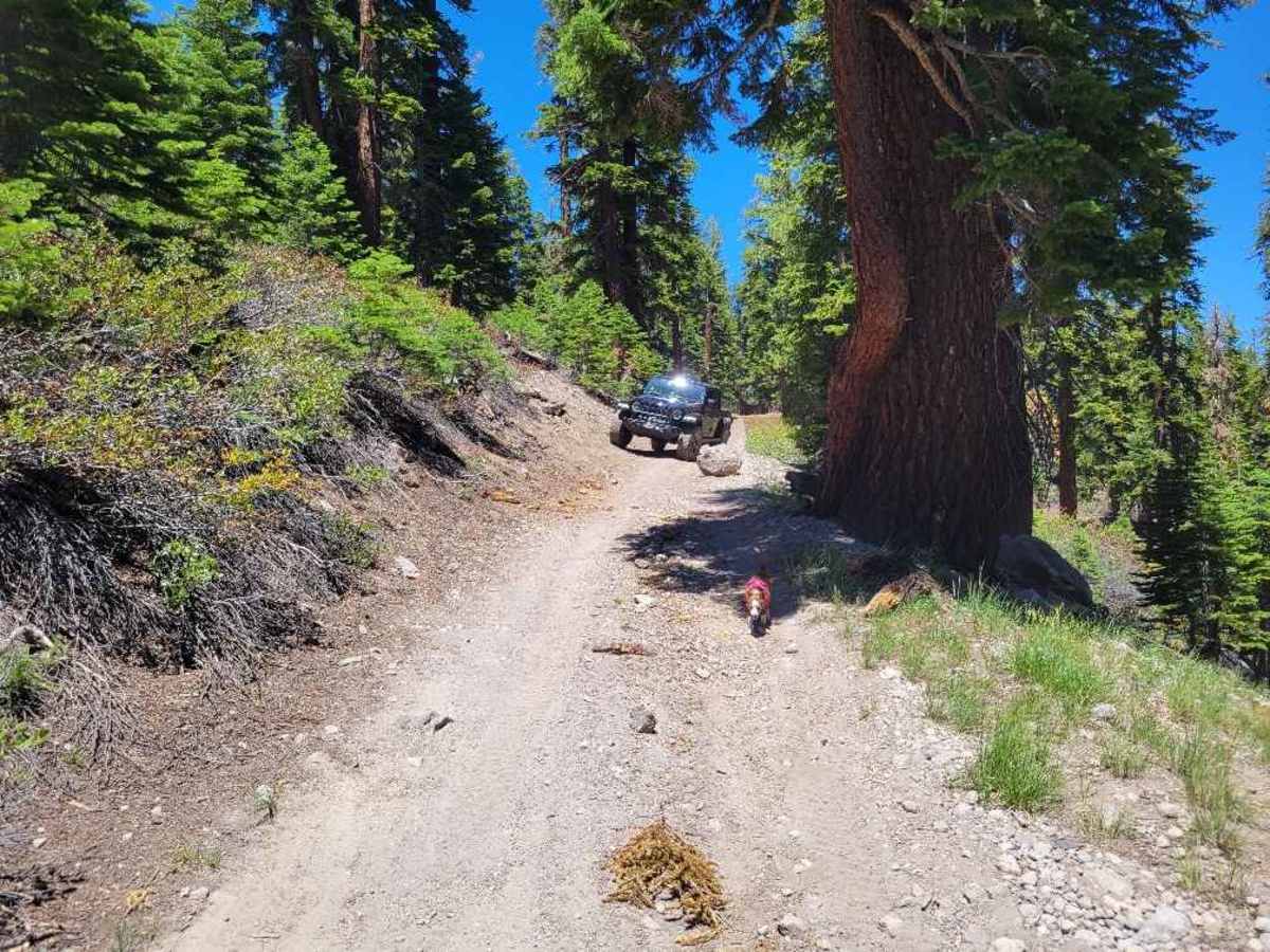 Pickett Peak Road 31053 photo 2