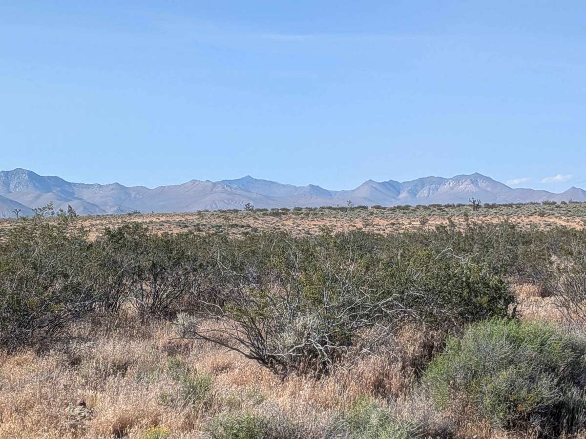 Red Rock Inyokern South photo 3