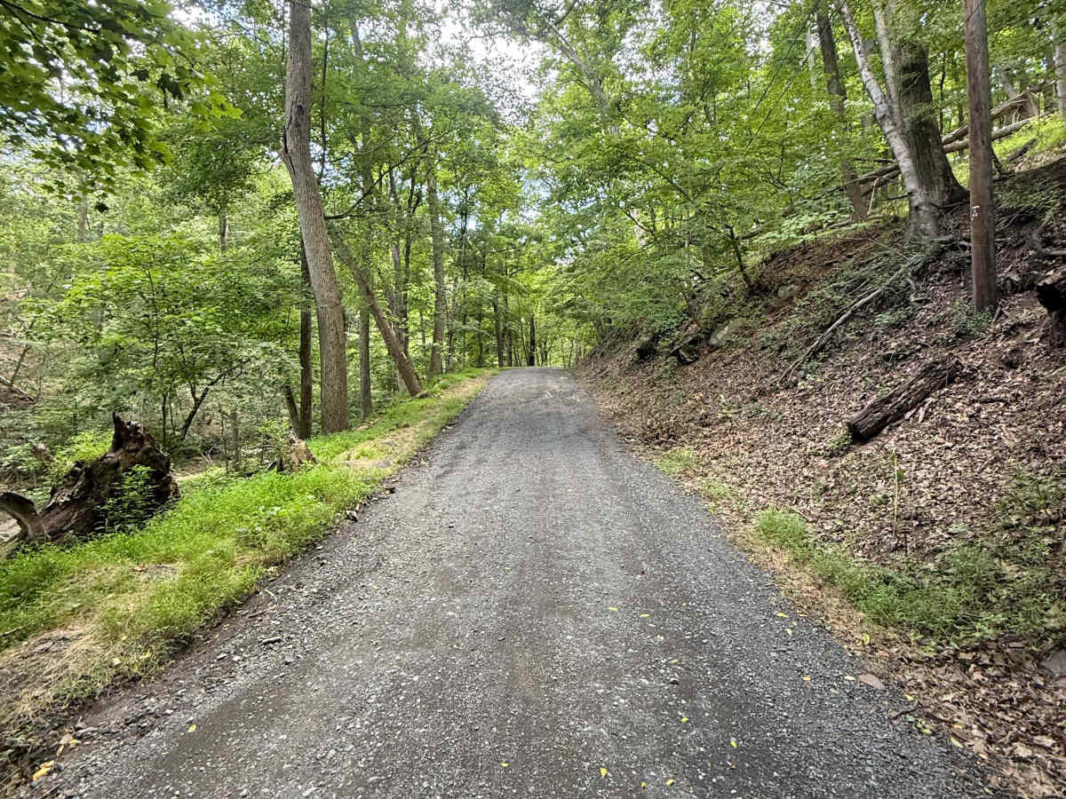 Smithtown Road photo 4