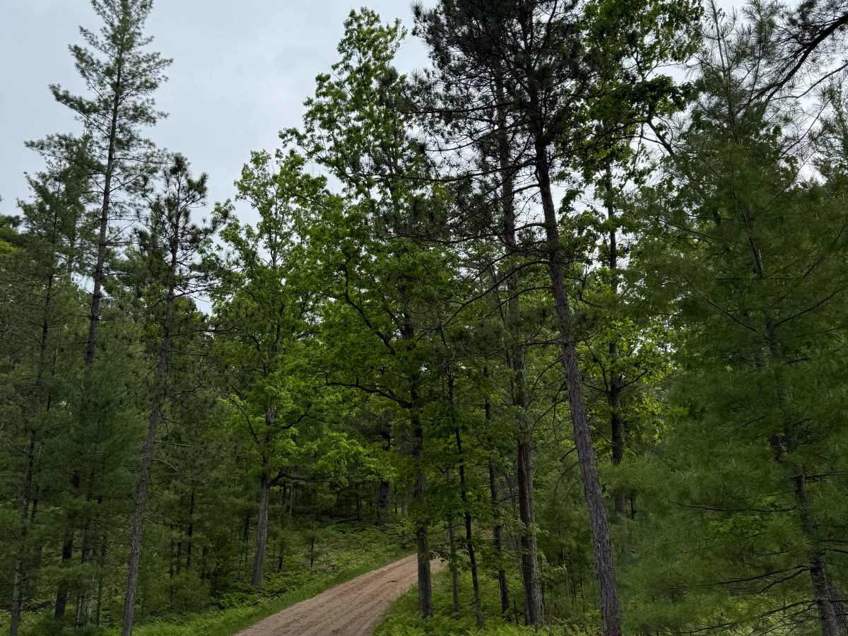 South River Road Trail photo 5